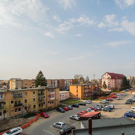 Zen Alpin Studio Brasov Exterior photo